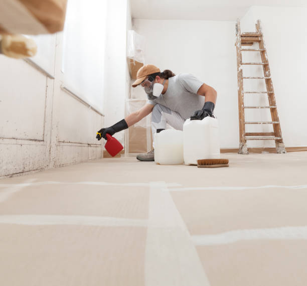 Best Mold Removal for HVAC Installations  in Surprise, AZ